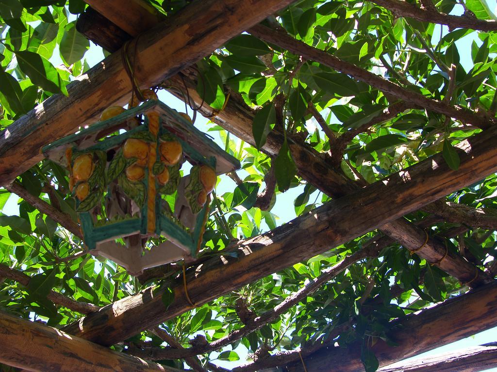 Locanda Degli Agrumi Конка деи Марини Екстериор снимка